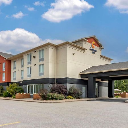 Comfort Inn Sturgeon Falls Extérieur photo