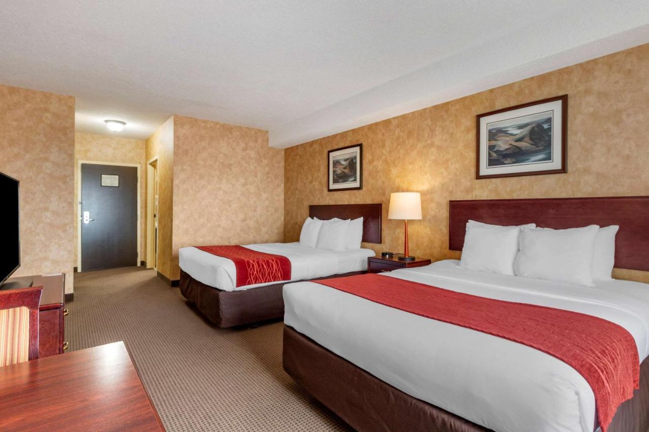 Comfort Inn Sturgeon Falls Extérieur photo
